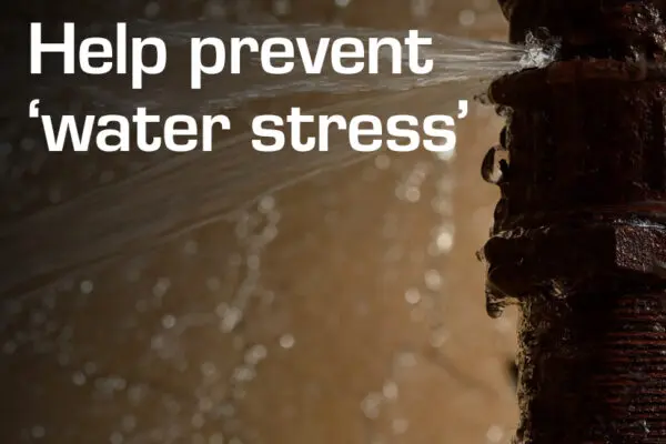 Help prevent 'water stress'