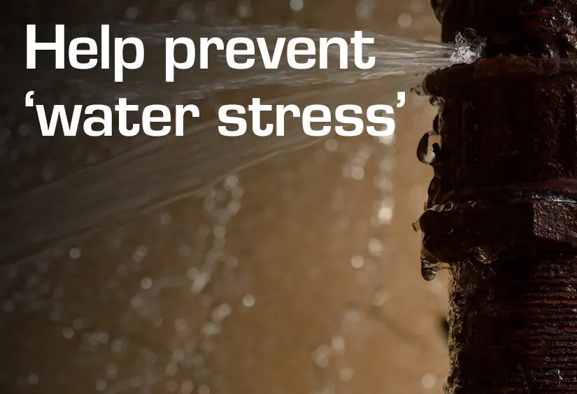 Help prevent 'water stress'