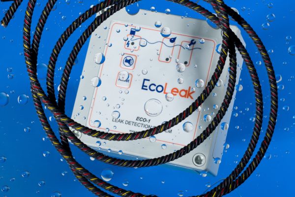EcoLeak - Eco-1 and Eco-6