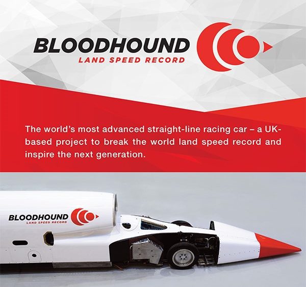 Bloodhound