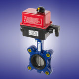 Butterfly Valve water shutoff leak detection