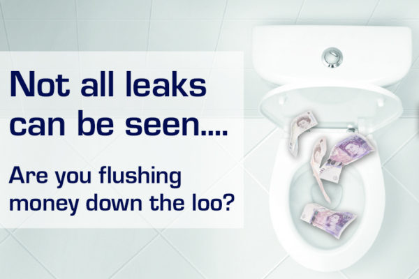 Not all leaks can be seen - do you have a leaky loo?